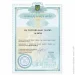  г  Plastall Premium 1.7        (PP-17-nabor)