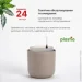  Plastia      Tolita 19   2,2   (1707081907)