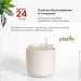  Plastia      Tolita 19   2,2   (1707081940)