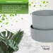  Plastia     Tolita 19   2,2   (1707281920R)