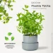  Plastia     Tolita 19   2,2   (1707281920R)