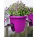  Plastkon Balconia OVI 30,  (41113800)
