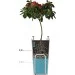     Plastkon Elise 15,   (41113880)