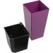  Plastkon Elise   (41113930)