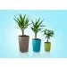  Plastkon Elise   (41113930)