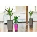  Plastkon Elise   (41113930)