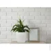  Plastkon    Quadrato 22x22x21   5,4  (239861)