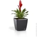  Plastkon    Quadrato 25x25x24   7,8  (239864)