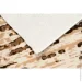  Plato Hali  4037 Brown 1 