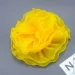   28    yellow    BK462-Y