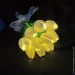 ͳ-  9    - SV032-W