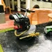         Crazy Duck  AD008-2