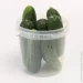    Poliplast      ( ) 1  