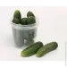    Poliplast      ( ) 1  
