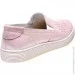    Pollonus .36  (088966-36)