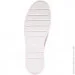    Pollonus .36  (088966-36)