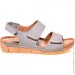    Pollonus .37  (069578-37)