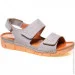    Pollonus .37  (069578-37)