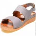    Pollonus .37  (069578-37)