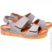    Pollonus .37  (069578-37)