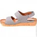    Pollonus .37  (069578-37)