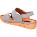    Pollonus .37  (069578-37)
