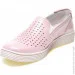    Pollonus .37  (088966-37)