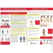 Poputchik   27-009-