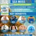   Power By Naturals Sea Moss Plus 60  (4384304094)
