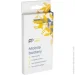 PowerPlant  Samsung Galaxy A40 (SM170692)
