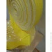     PowerPlay  (100) (PP_100m_Yellow)