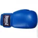  Powerplay PP 3004 18oz Blue