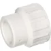  Prawtech    25x3/4" (PP120025034)