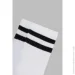 Premier Socks     16-18  (4820203339471A)