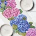 - Presentville     150x40  (DR_24A016)