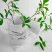    Presentville     330  (KR_21L007)