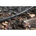  Presto-PS  30 /,50 . (7754)