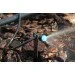  Presto-PS  30 /,50 . (7754)