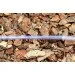  Presto-PS   Crystal Tube  8 ,  100  (PVH 8 PS)