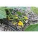   Presto-PS MCL-33-200