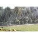   Presto-PS Silver Spray 100 (501008-7)