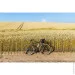  Pride ROCX DIRT Tour 2022 29" , XL (SKD-99-40)