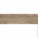  Prissmacer  Trento Antic 20x75