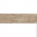  Prissmacer  Trento Antic 20x75
