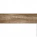  Prissmacer  Trento Antic 20x75
