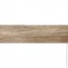  Prissmacer  Trento Antic 20x75