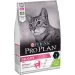Pro Plan         ,  3 