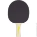 Pro Touch     Pro 2000