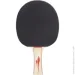 Pro Touch     PRO 5000 412150-900050