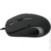  Profimarket M304UB